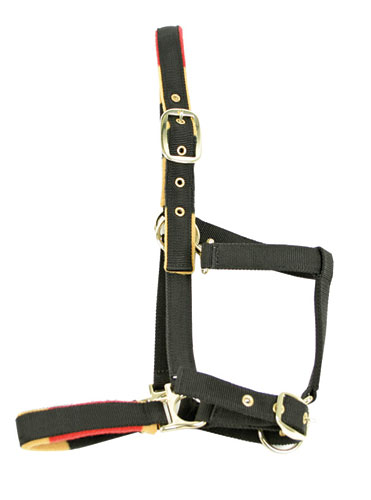 Cavezza Horseware Rambo Newmarket