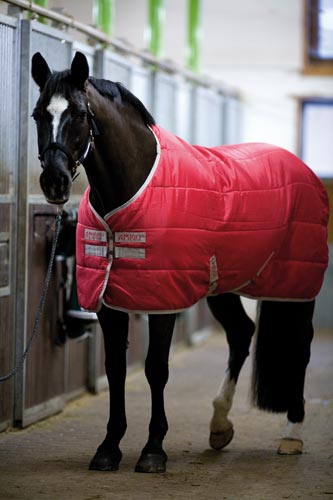 Coperta invernale Horseware Stable Amigo Insulator Medium