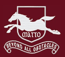 Logo Cavallo Matto